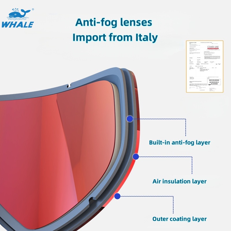 Photochromic lens ski goggles