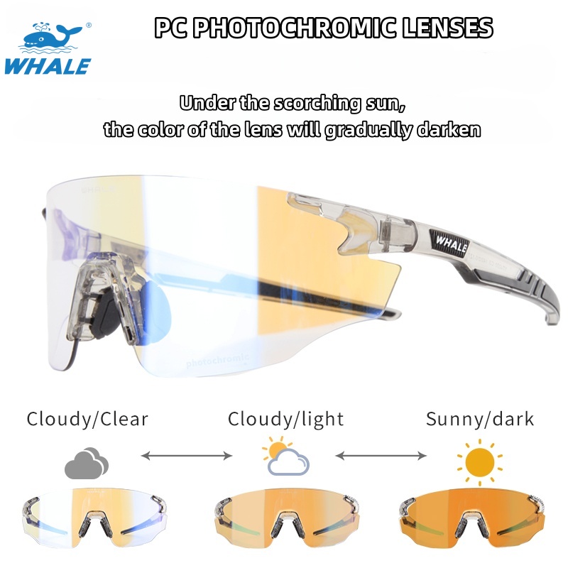 YDJ-200 Sports Goggles