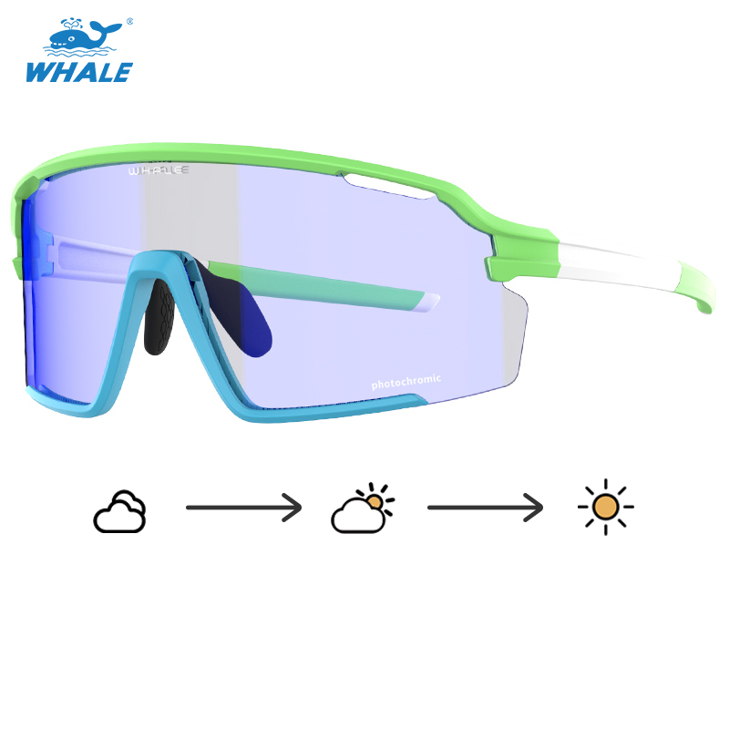 cycling goggles Anti fog